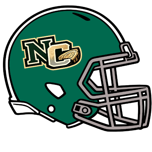 Northwestern College helmet